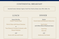 Sample Daily Menu